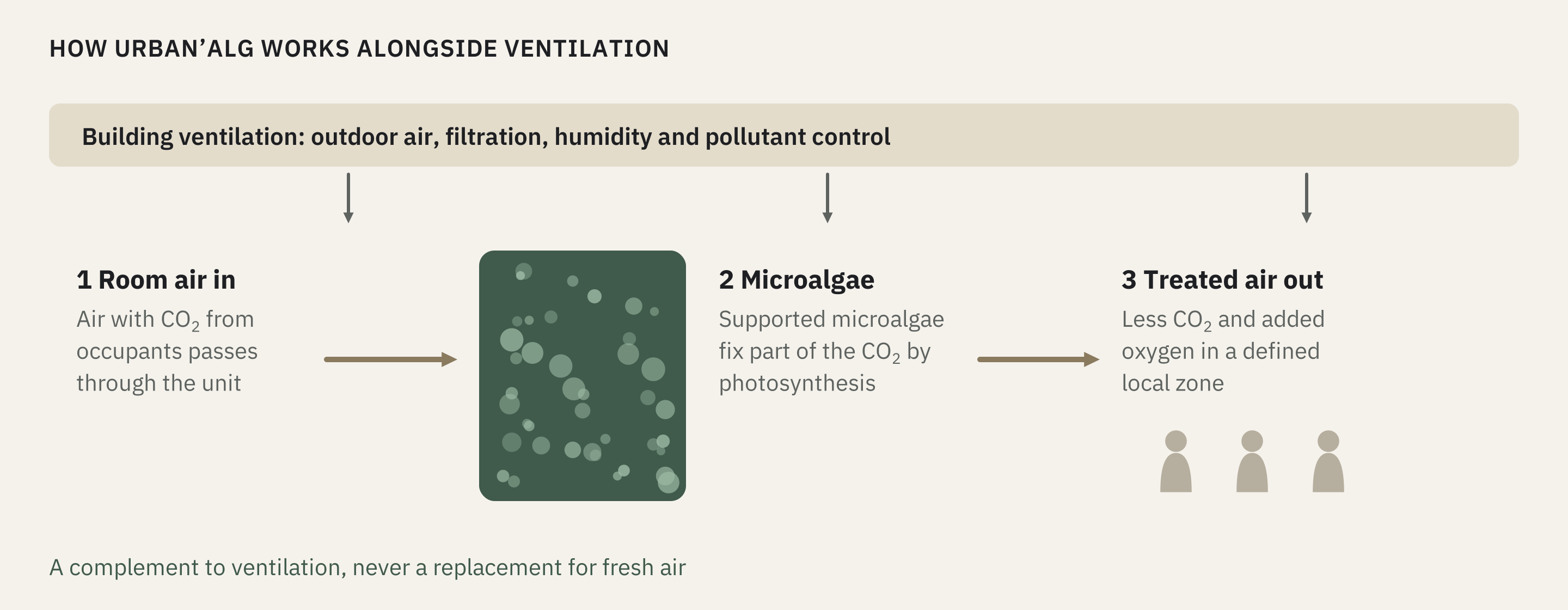Building ventilation continues to provide outdoor air, filtration, humidity and pollutant control. Air from occupied spaces passes through supported microalgae, which fix part of the CO₂ through photosynthesis. Air returns to a defined local zone. The biological unit complements ventilation and does not replace fresh air.